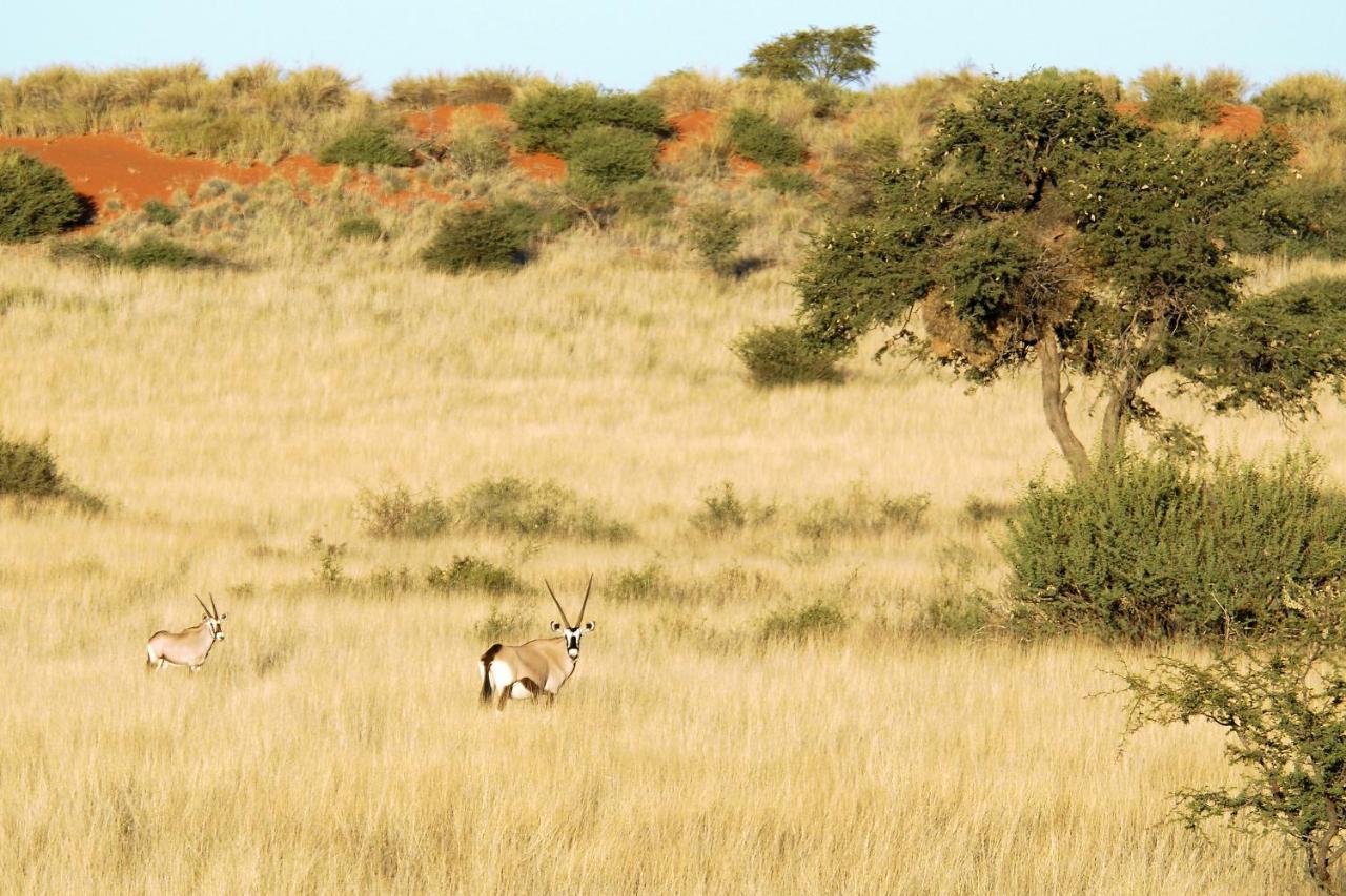 Gondwana Kalahari Anib Lodge Hardap Екстер'єр фото