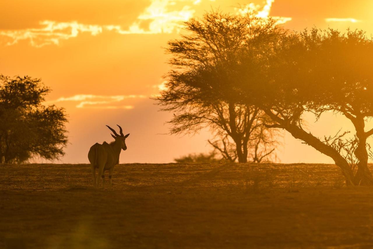 Gondwana Kalahari Anib Lodge Hardap Екстер'єр фото